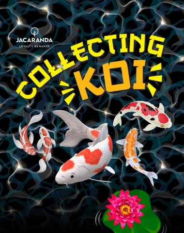 Collecting Koi
